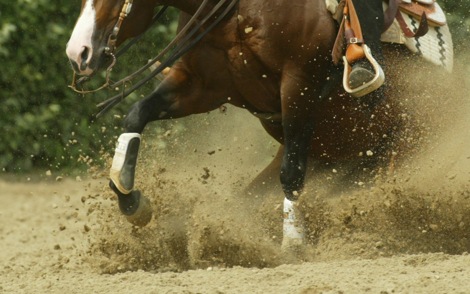 Your source for horse products, equestrian and western apparel
